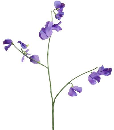 Countryfield kunsttak lathyrus 77cm paars - afbeelding 1