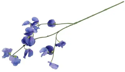 Countryfield kunsttak lathyrus 77cm paars - afbeelding 2