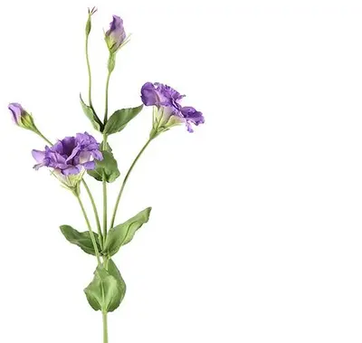 Countryfield kunsttak lisianthus 94cm paars - afbeelding 1