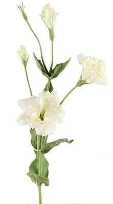 Countryfield kunsttak lisianthus 94cm wit - afbeelding 1