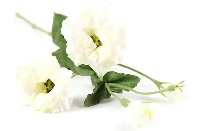 Countryfield kunsttak lisianthus 94cm wit - afbeelding 2