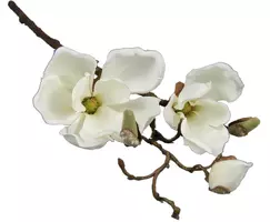 Countryfield kunsttak magnolia 48cm wit - afbeelding 1