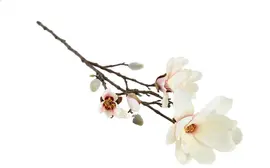 Countryfield kunsttak magnolia 87cm crème - afbeelding 1
