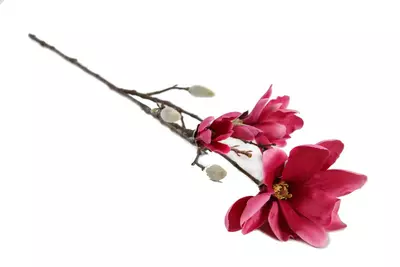 Countryfield kunsttak magnolia 87cm fuchsia - afbeelding 1
