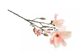 Countryfield kunsttak magnolia 87cm roze - afbeelding 1