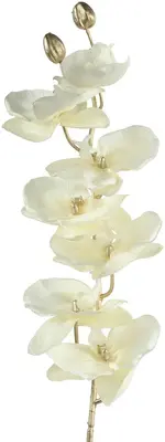 Countryfield kunsttak orchidee 80cm crème - afbeelding 1