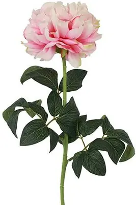 Countryfield kunsttak paeonia rosaline 44cm roze - afbeelding 1