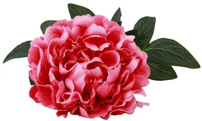 Countryfield kunsttak paeonia rosaline 44cm roze - afbeelding 2