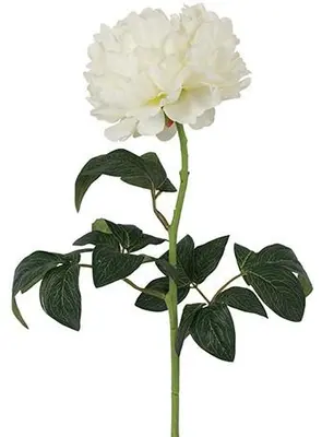 Countryfield kunsttak paeonia rosaline 44cm wit - afbeelding 1
