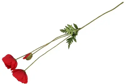 Countryfield kunsttak papaver 95cm rood - afbeelding 2
