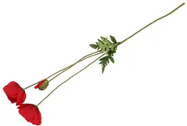Countryfield kunsttak papaver 95cm rood - afbeelding 2
