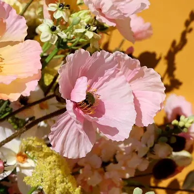 Countryfield kunsttak papaver 95cm roze - afbeelding 2