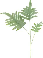 Countryfield kunsttak phlebodium 108cm groen - afbeelding 1