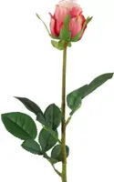 Countryfield kunsttak roos 70cm multi - afbeelding 1