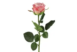 Countryfield kunsttak roos 70cm roze - afbeelding 1