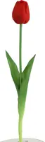 Countryfield kunsttak tulp 44cm donkerrood - afbeelding 1