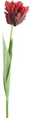 Countryfield kunsttak tulp 69cm fuchsia - afbeelding 1