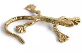 Countryfield ornament hagedis jewel 19x11,5x4 cm goud kopen?