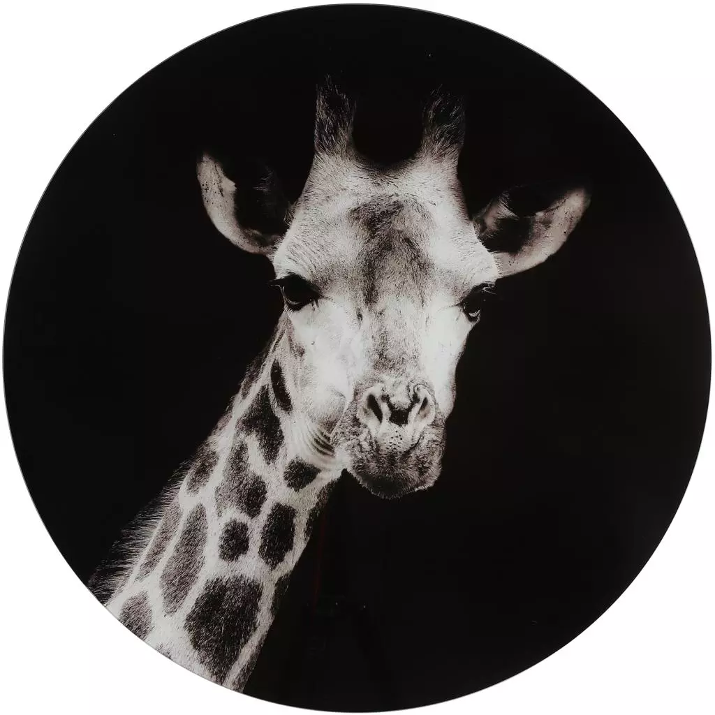ruimte Initiatief Fluisteren Countryfield schilderij glas mocambo giraffe 60cm zwart, wit kopen? -  tuincentrum Osdorp :)
