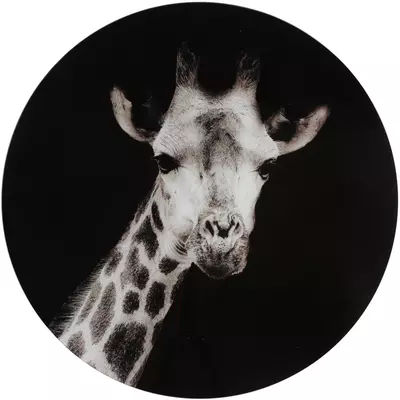 Countryfield schilderij glas mocambo giraffe 60cm zwart, wit