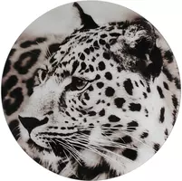 Countryfield schilderij glas wild life luipaard 50cm zwart, wit kopen?