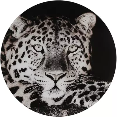 Countryfield schilderij glas wild life luipaard 50cm zwart, wit