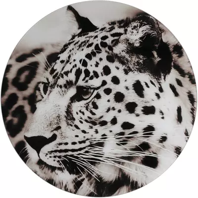 Countryfield schilderij glas wild life luipaard 60cm zwart, wit