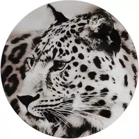 Countryfield schilderij glas wild life luipaard 60cm zwart, wit kopen?