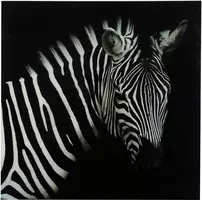 Countryfield schilderij glas wild life zebra 80x80cm zwart, wit kopen?