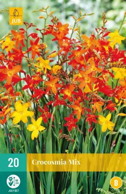 Crocosmia mix 20 stuks - afbeelding 1