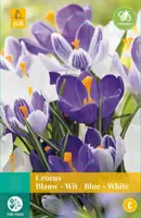 Crocus blauw/wit mix 10 krokusbollen - afbeelding 1