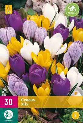 Crocus Grootbloemig mix 30 krokusbollen - afbeelding 1