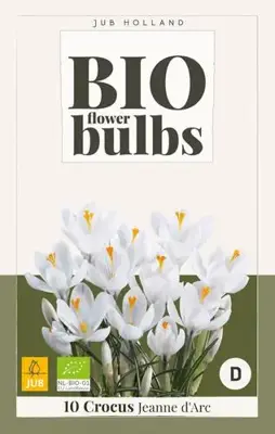 Crocus Jeanne d'Arc 10 stuks biologisch geteeld - afbeelding 2