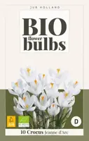 Crocus Jeanne d'Arc 10 stuks biologisch geteeld - afbeelding 2