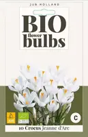 Crocus Jeanne d'Arc 10 stuks biologisch geteeld - afbeelding 1