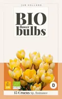 Crocus Romance 15 krokusbollen biologisch geteeld - afbeelding 1