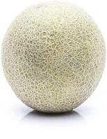 Cucumis melo 'Galia' (Meloen 'Galia') - afbeelding 2