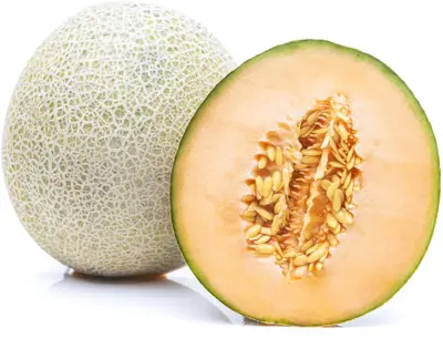 Cucumis melo 'Galia' (Meloen 'Galia') - afbeelding 3