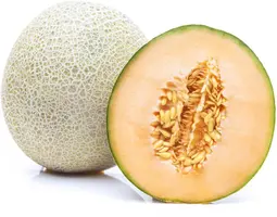 Cucumis melo 'Galia' (Meloen 'Galia') - afbeelding 3