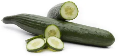 Cucumis sativus (Komkommer geent) 15cm - afbeelding 17