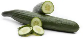 Cucumis sativus (Komkommer geent) 15cm - afbeelding 17