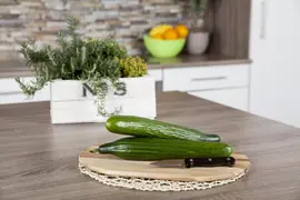 Cucumis sativus (Komkommer geent) 15cm - afbeelding 19