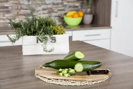 Cucumis sativus (Komkommer geent) 15cm - afbeelding 20