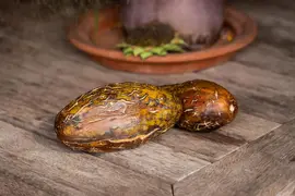 Cucumis sativus var. sikkimensis (Augurk) - afbeelding 3