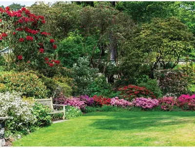 Customize-it tuinschilderij bloementuin 70x50cm multi