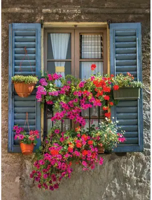 Customize-it tuinschilderij blue shutters 50x70cm multi