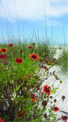 Customize-it tuinschilderij florida flowers 70x130cm multi