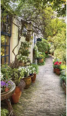 Customize-it tuinschilderij flower alley 70x130cm multi