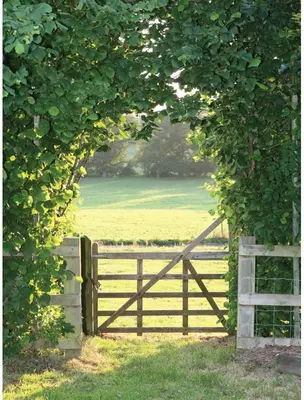Customize-it tuinschilderij meadow 50x70cm multi