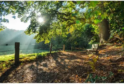 Customize-it tuinschilderij morning mood 130x70cm multi